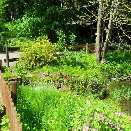 Hoellenmuehle Bed & Breakfast At The Mill Pond Hessisch Oldendorf Buitenkant foto