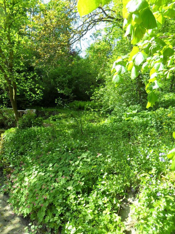 Hoellenmuehle Bed & Breakfast At The Mill Pond Hessisch Oldendorf Buitenkant foto