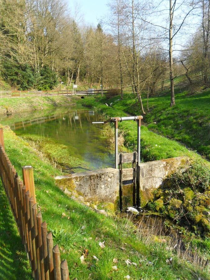 Hoellenmuehle Bed & Breakfast At The Mill Pond Hessisch Oldendorf Buitenkant foto