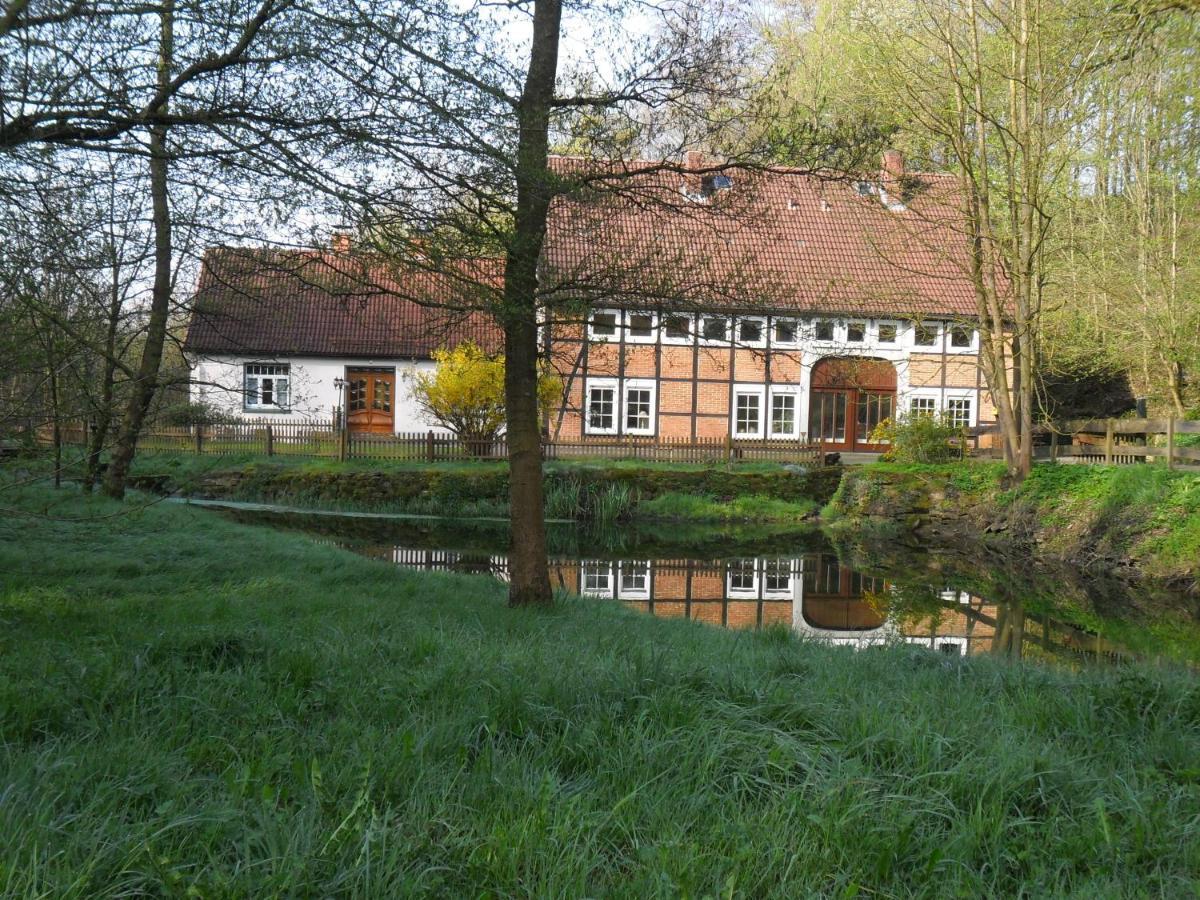 Hoellenmuehle Bed & Breakfast At The Mill Pond Hessisch Oldendorf Buitenkant foto
