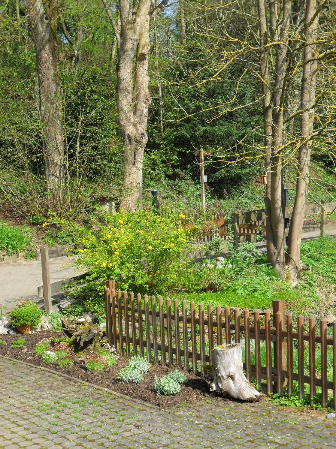 Hoellenmuehle Bed & Breakfast At The Mill Pond Hessisch Oldendorf Buitenkant foto