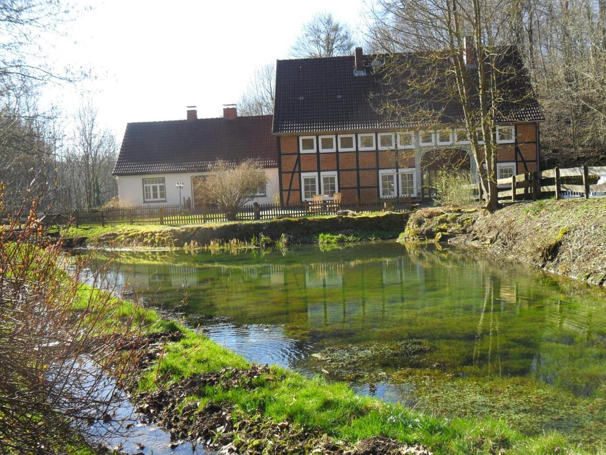 Hoellenmuehle Bed & Breakfast At The Mill Pond Hessisch Oldendorf Buitenkant foto